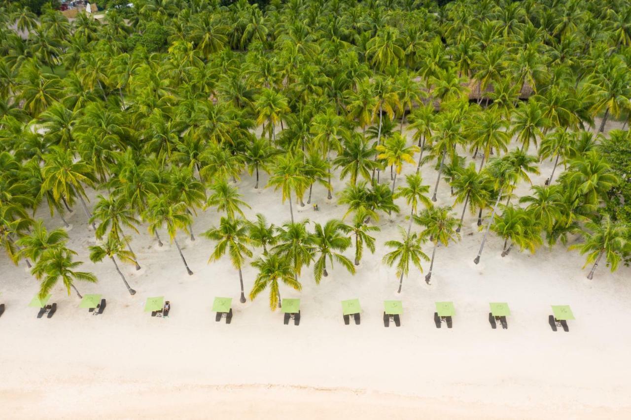 Oceanica Resort Panglao, Bohol מראה חיצוני תמונה Palm trees on the beach