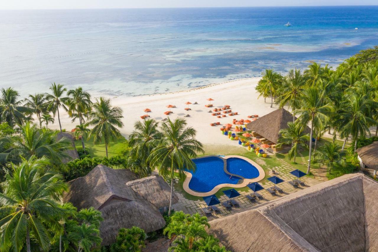 Oceanica Resort Panglao, Bohol מראה חיצוני תמונה Aerial view of the beach at the resort