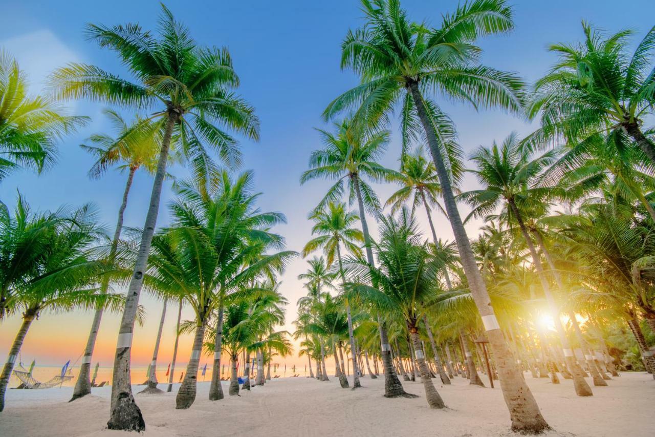 Oceanica Resort Panglao, Bohol מראה חיצוני תמונה Palm trees on a beach