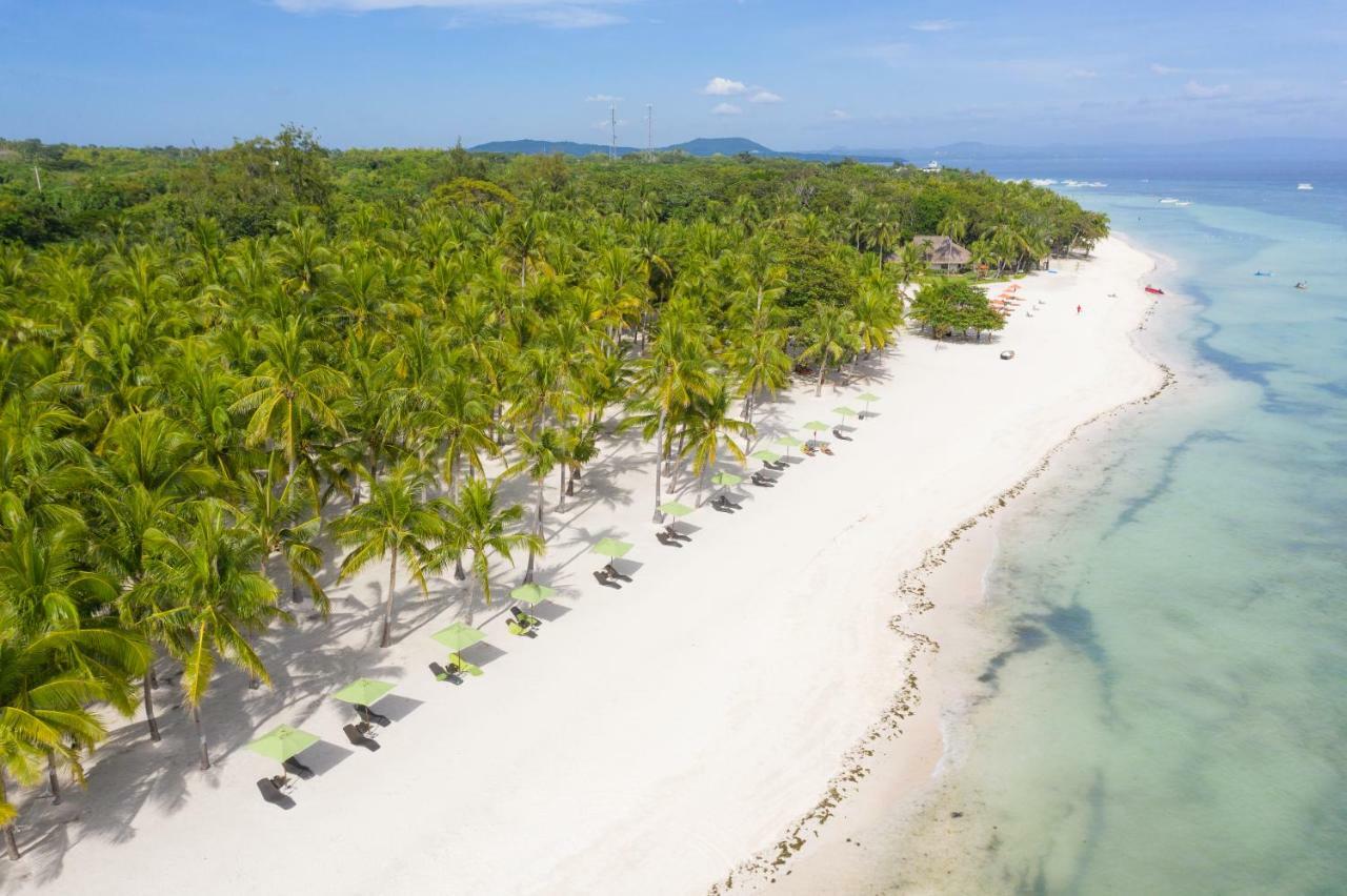 Oceanica Resort Panglao, Bohol מראה חיצוני תמונה Aerial view of the beach